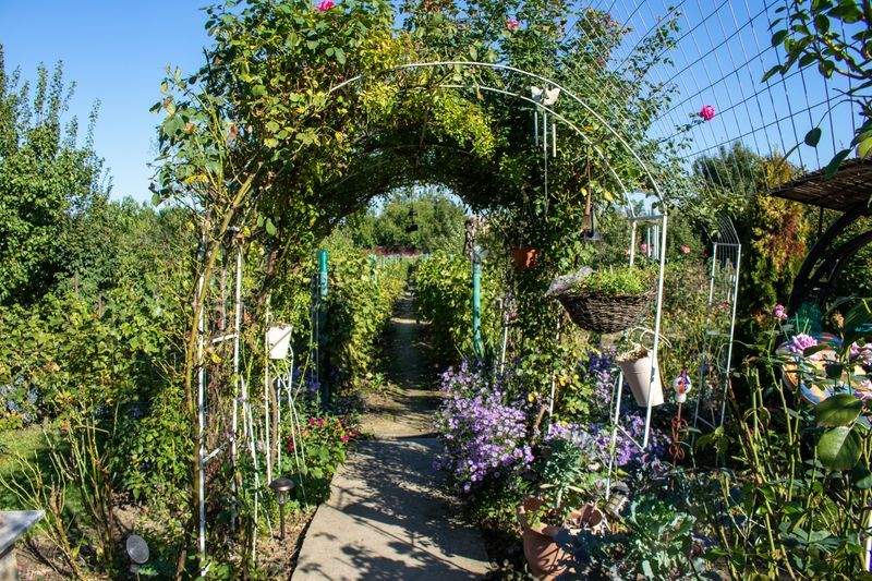 Jardin Harmonie France 9